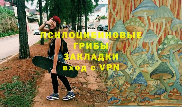 бошки Абдулино