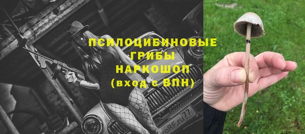 СК Алексеевка